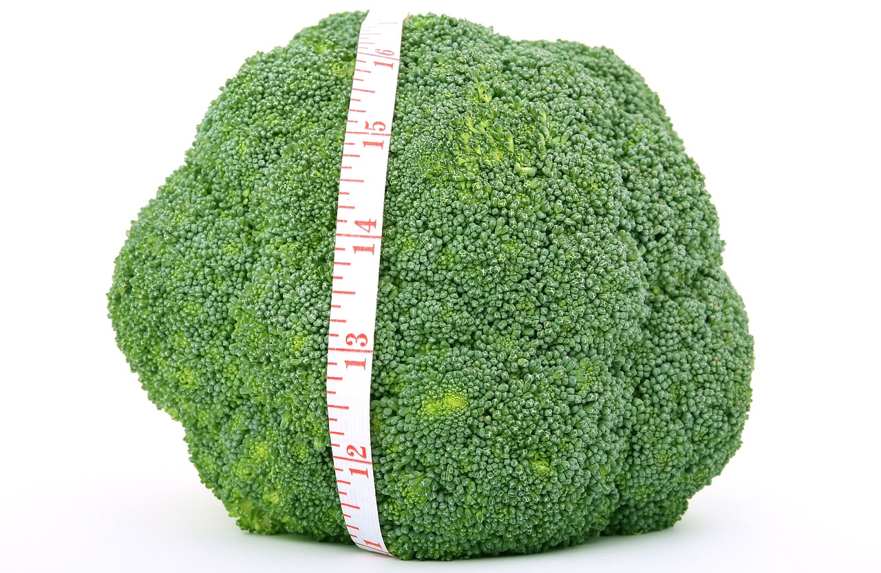 左旋肉碱茶多酚胶囊的作用与功效深度解析，全面揭示其功效与影响