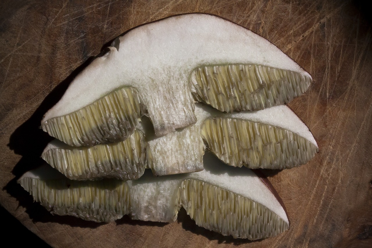 新澳精准资料免费提供濠江论坛,虾仁的功效与作用,游戏版HS128.128
