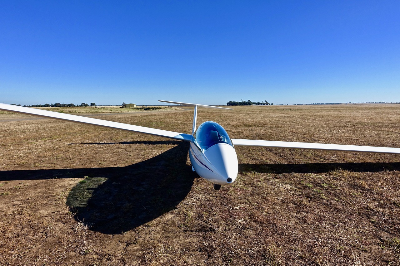 厦门航空最新消息概览，更新与动态汇总