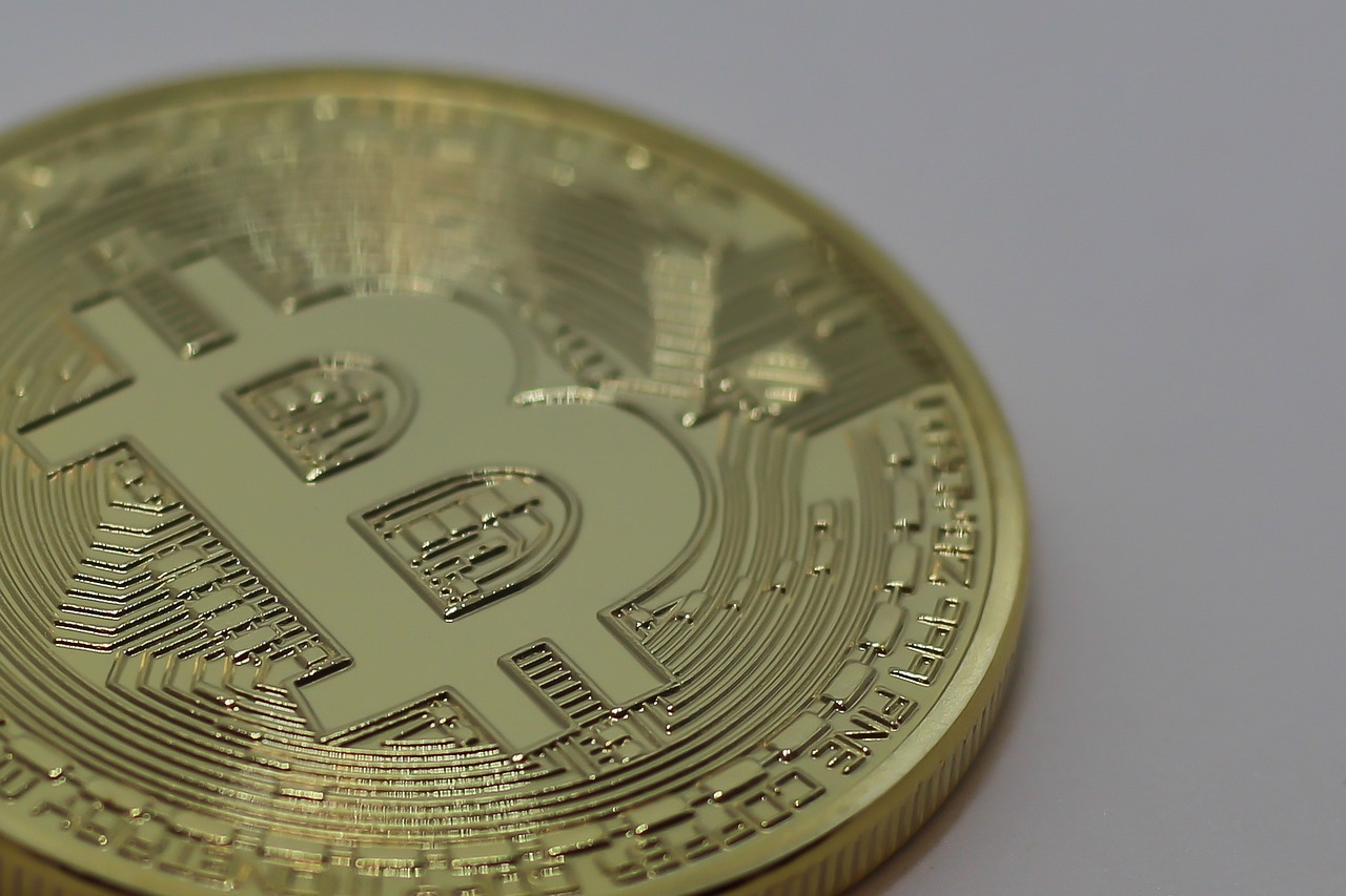 龙钞最新价格概览及行情分析