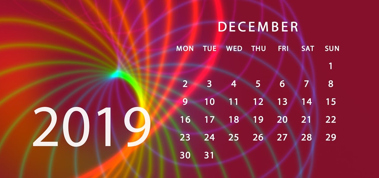2024澳门天天开好彩大全app,专家解说解释定义,显示版ZYO41.01.12