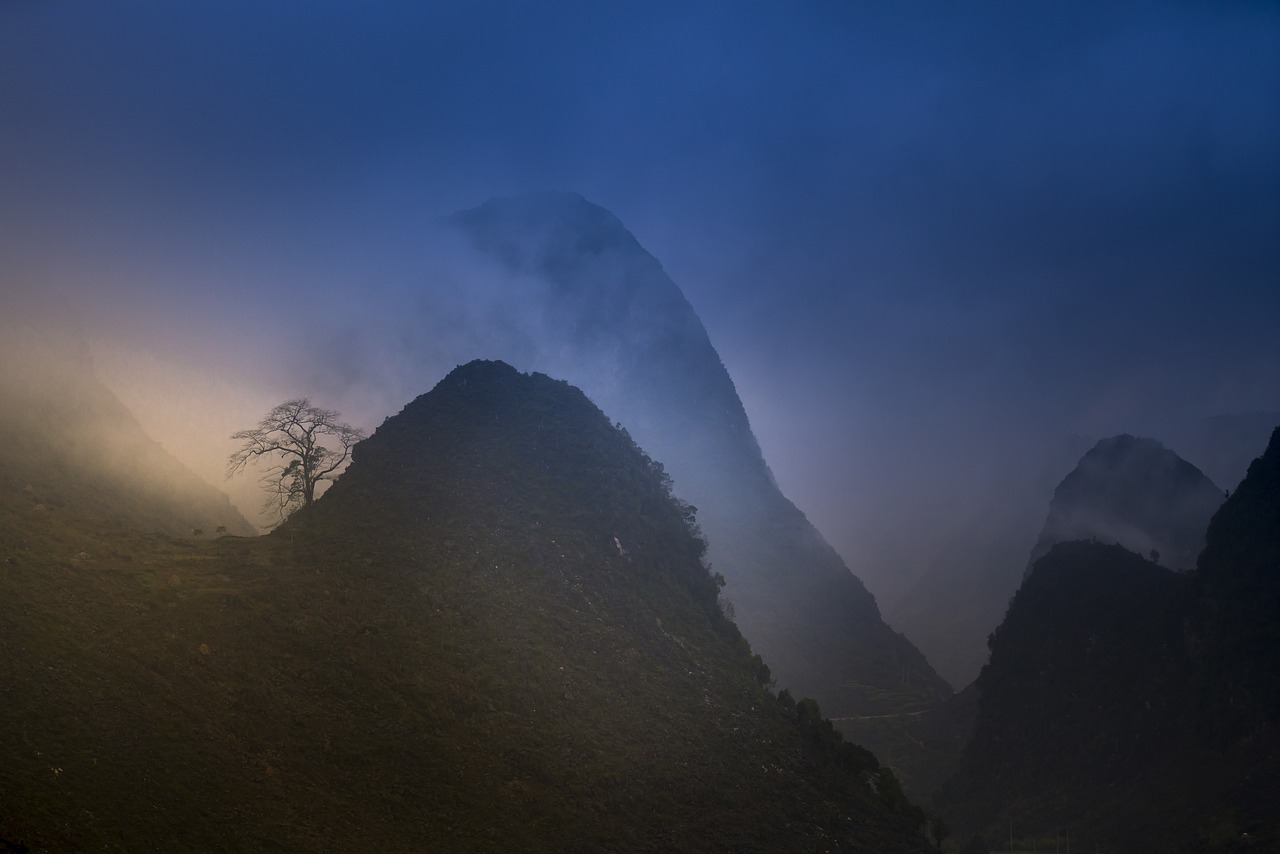 素驰丽 第4页