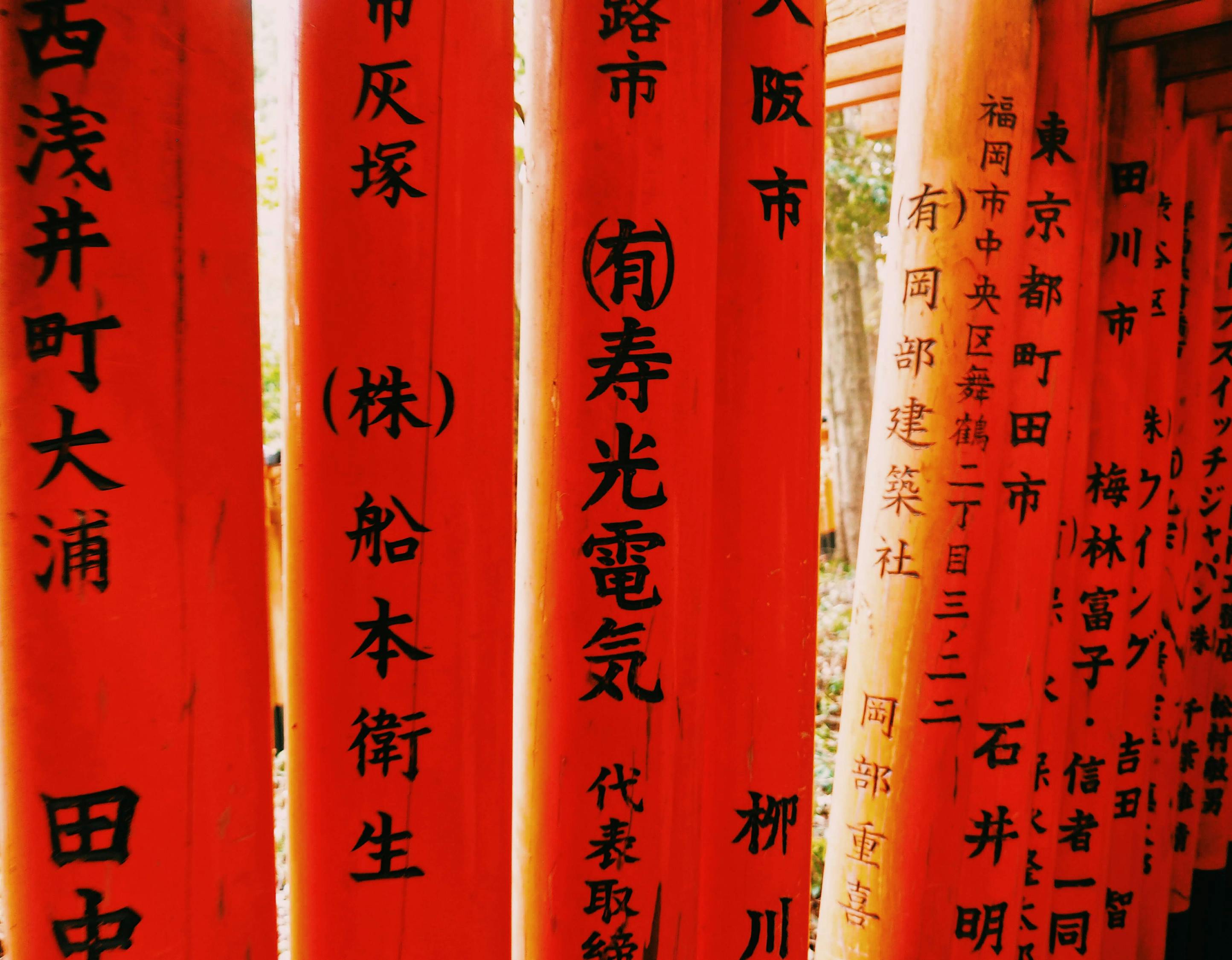 小学书法比赛，传承文化，展示书法风采